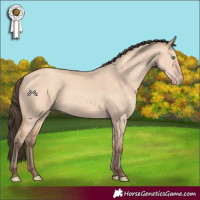 Horse Color:Amber Champagne Dun