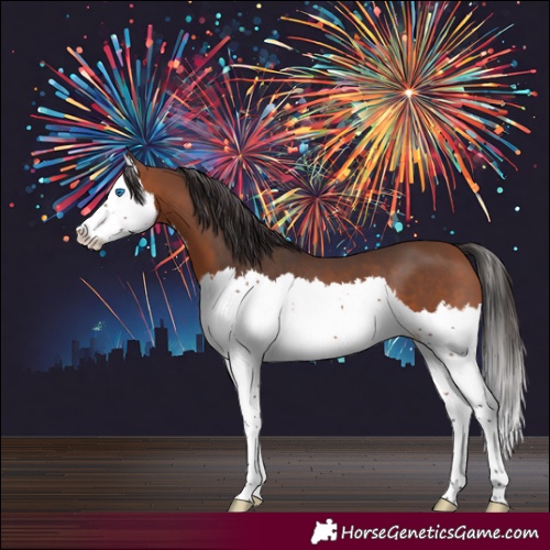 Horse Color:Bay Splash 