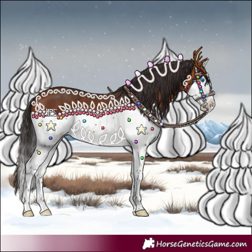 Horse Color:Bay Splash 