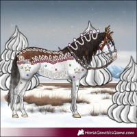 Horse Color:Bay Splash 