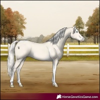 Horse Color:Cremello Dun Tobiano