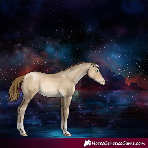 Horse Color:Smoky Black Pearl Tobiano Rabicano 