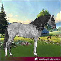 Horse Color:White Spotted Blue Roan Rabicano  and Blue Roan Tobiano Rabicano 