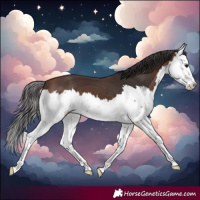 Horse Color:Brown Splash 