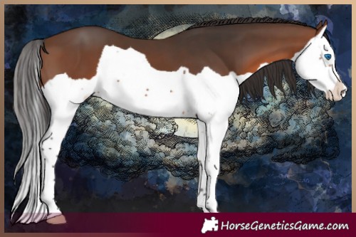 Horse Color:Brown Splash 