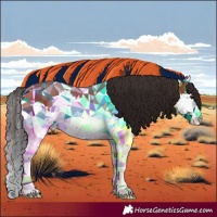 Horse Color:Bay Splash 