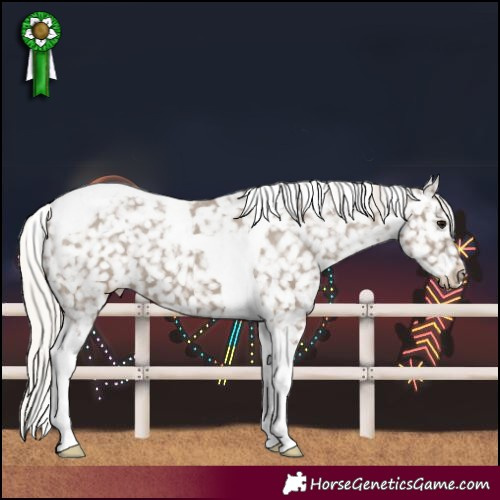 Horse Color:Silver Grullo Tobiano Snowflake Varnish