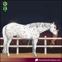 Horse Color:Silver Grullo Tobiano Snowflake Varnish