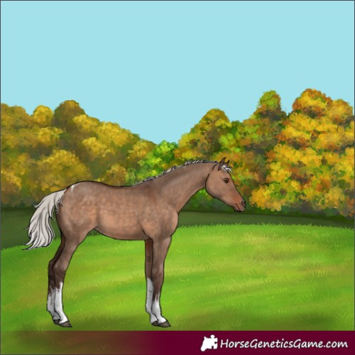 Horse Color:White Spotted Silver Brown Dun Tobiano 