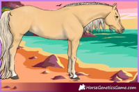 Horse Color:Palomino 