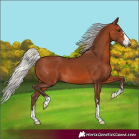 Horse Color:Silver Brown 
