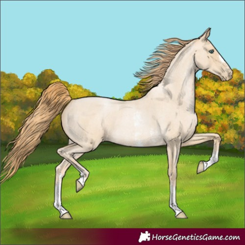 Horse Color:Smoky Blue Roan Pearl Sabino 