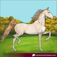 Horse Color:Smoky Black Pearl Sabino 