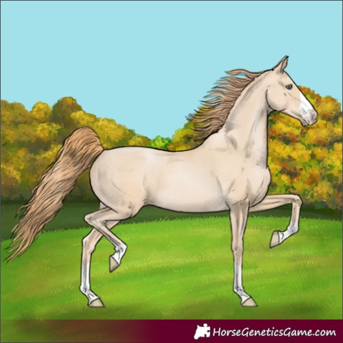 Horse Color:Smoky Black Pearl 