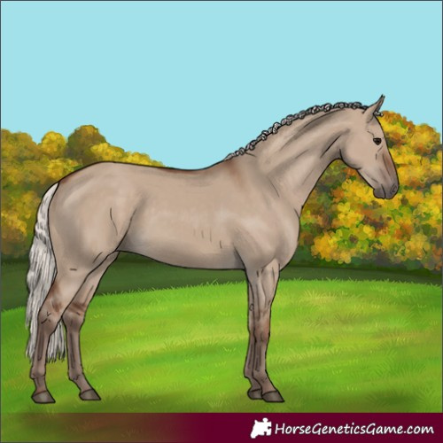Horse Color:Silver Grullo 