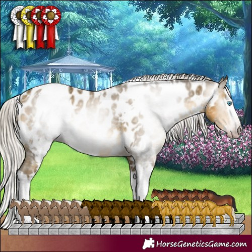 Horse Color:Gray White Spotted Silver Sable Cream Champagne Mushroom Splash Appaloosa 