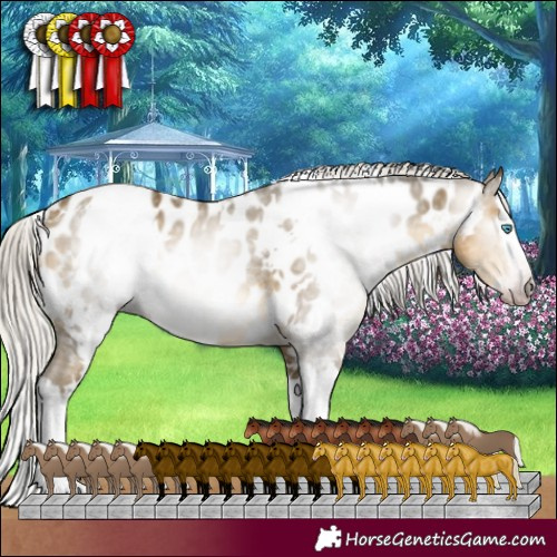 Horse Color:Gray White Spotted Silver Sable Cream Champagne Mushroom Splash Appaloosa 