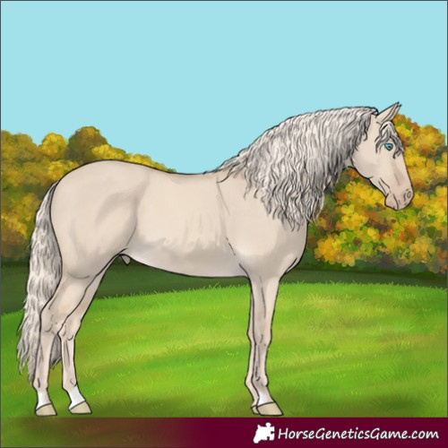 Horse Color:Cremello Dun 