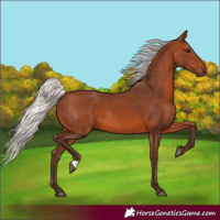 Horse Color:Silver Brown