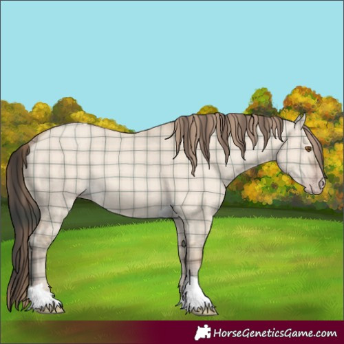 Horse Color:Plaid  Classic Champagne Dun Tobiano 