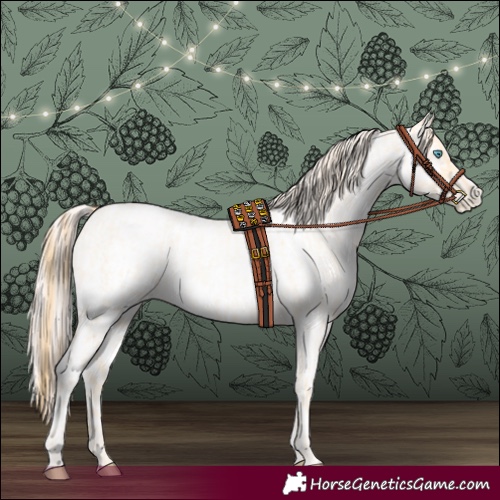 Horse Color:Buckskin Roan Pearl  and Amber Cream Champagne Roan Pearl 