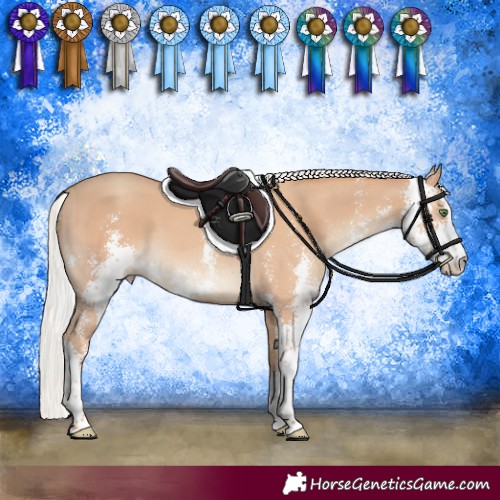Horse Color:Silver Classic Champagne Sabino 
