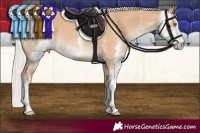 Horse Color:Silver Classic Champagne Sabino 