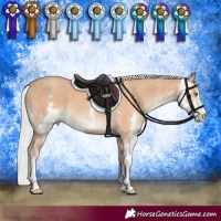 Horse Color:Silver Classic Champagne Sabino 