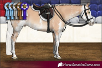 Horse Color:Silver Classic Champagne Sabino