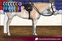 Horse Color:Silver Classic Champagne Sabino 