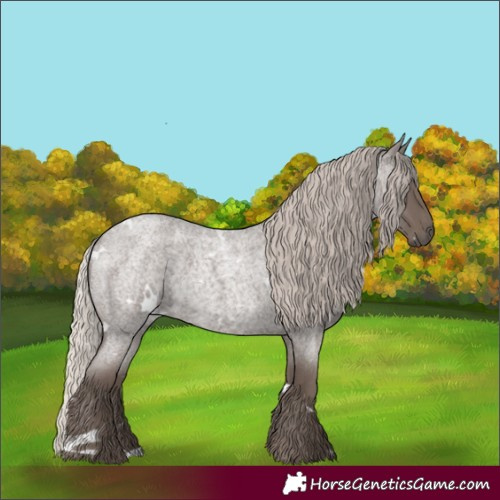 Horse Color:White Spotted Silver Blue Roan 