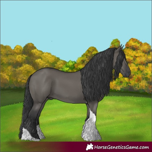 Horse Color:Grullo Tobiano