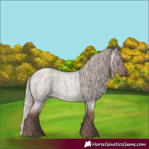 Horse Color:Silver Grullo Roan 