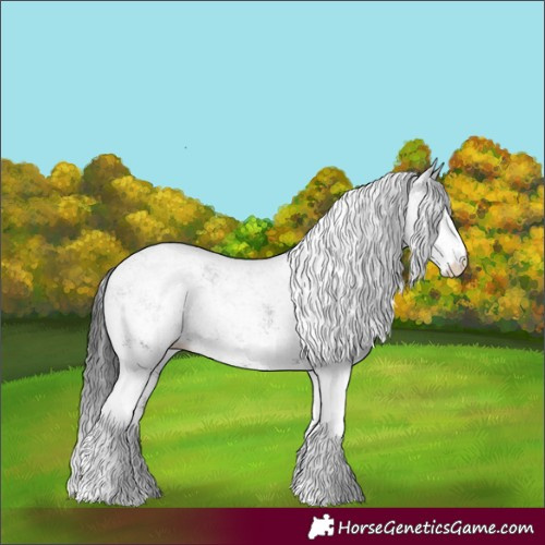Horse Color:White Spotted Black
