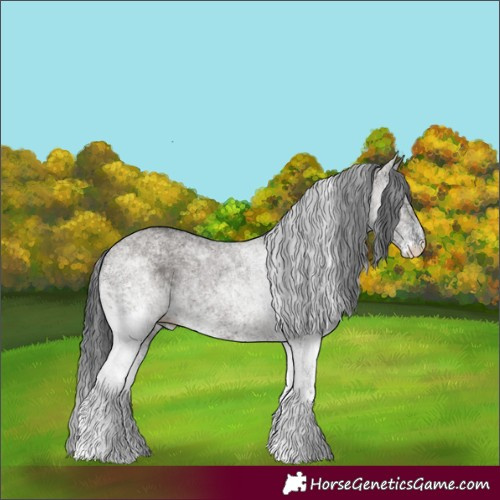 Horse Color:White Spotted Grullo