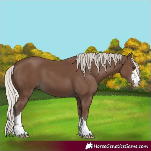 Horse Color:Silver Black 