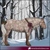 Horse Color:White Spotted Silver Blue Roan 
