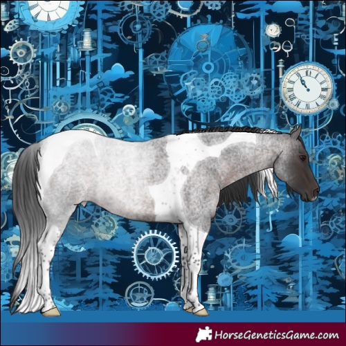 Horse Color:Brown Roan Tobiano 