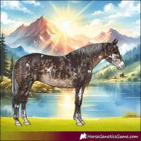 Horse Color:Brown Dun Brindle  and White Spotted Silver Brown Sabino 