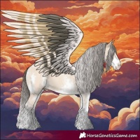 Horse Color:White Spotted Amber Champagne Dun