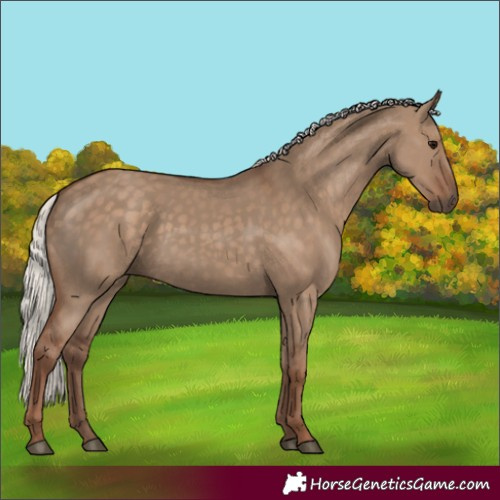 Horse Color:Silver Grullo 