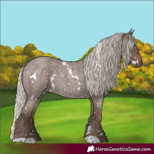 Horse Color:White Spotted Silver Blue Roan 