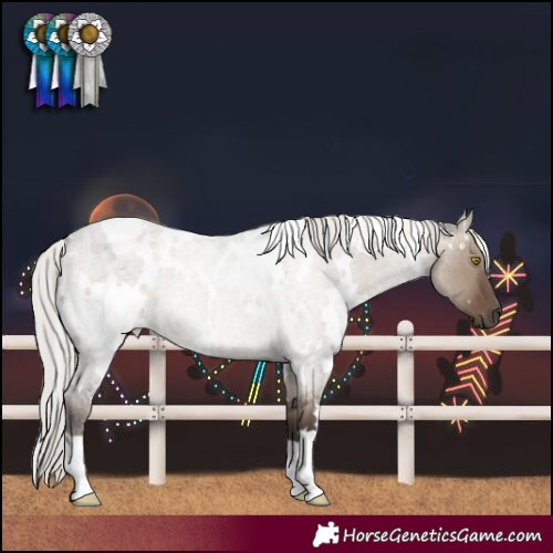 Horse Color:White Spotted Silver Grullo Roan 