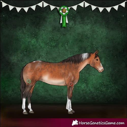 Horse Color:Bay Tobiano Varnish 