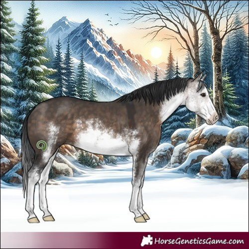 Horse Color:White Spotted Brown Dun 