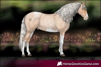 Horse Color:Silver Blue Roan Pearl Tobiano Frame 