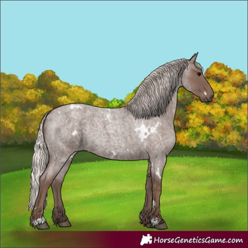 Horse Color:White Spotted Silver Blue Roan 