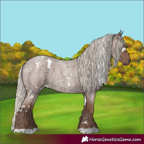 Horse Color:White Spotted Silver Blue Roan