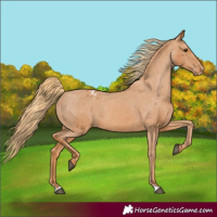 Horse Color:Chestnut Varnish