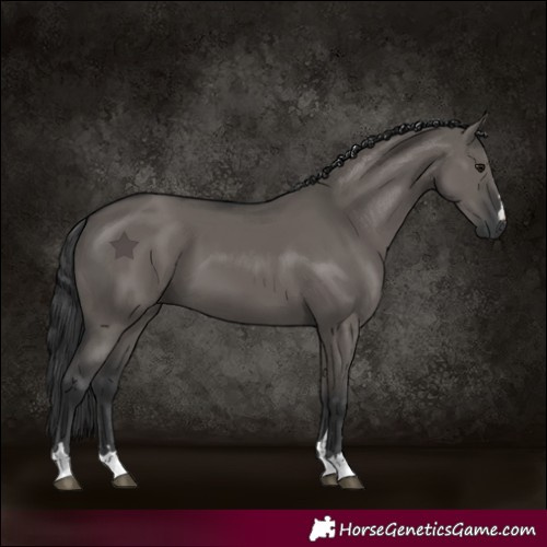 Horse Color:Grullo 
